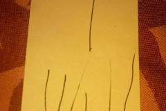 image-0-02-05-8c2e0ced53f2ec5121f6ebeb9b3b0afea4ffaffbfe5dba7ad3a71352a077f6bd-V