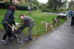 IMG_20170921_174223