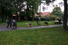 IMG_20170921_174425