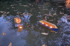 IMG_0026