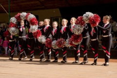 SOKOL_fb-31