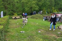 20190427_122621